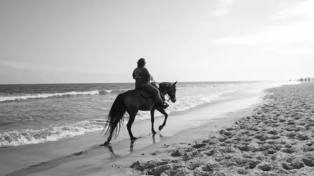 Black and white photo of a rider on horseback walking along the shoreline